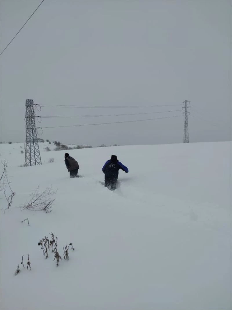 SEDAŞ, yoğun kara rağmen kesintisiz enerji için mesaide
