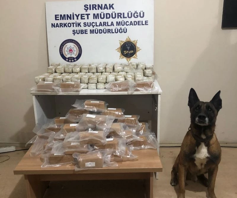 Tırın zulasındaki 52 kilo 639 gram eroini ‘Stark’ buldu
