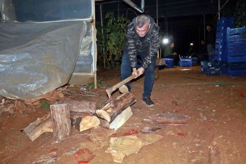 Üreticilerden odun ve kömür fırsatçılarına tepki
