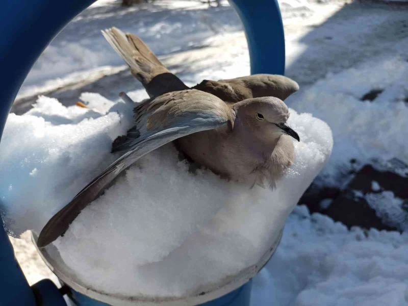 Hava sıcaklığı eksi 16