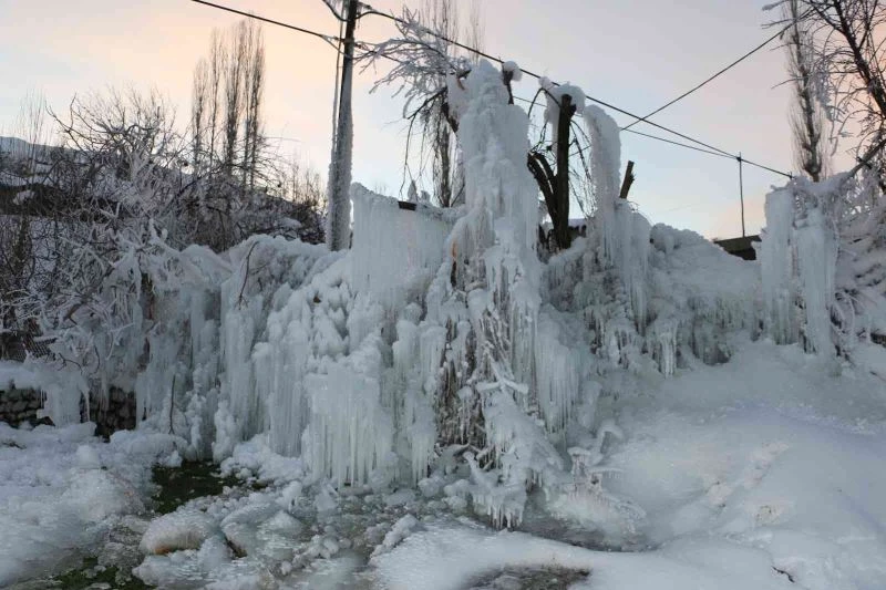 Uludere’de çeşme borusunun patlamasıyla buz sarkıtları oluştu
