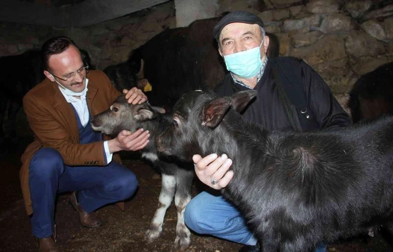 Giresun’da manda üreticilerinin yüzü güldü
