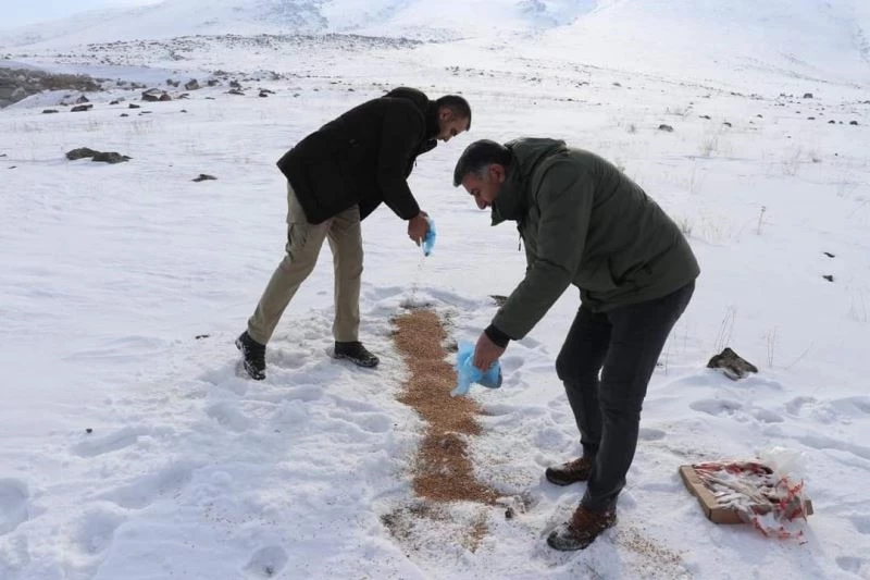 Jandarma ve emniyetten yemleme çalışması
