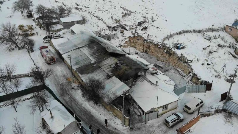 80 hayvanın telef olduğu ağıl gün ışığında görüntülendi
