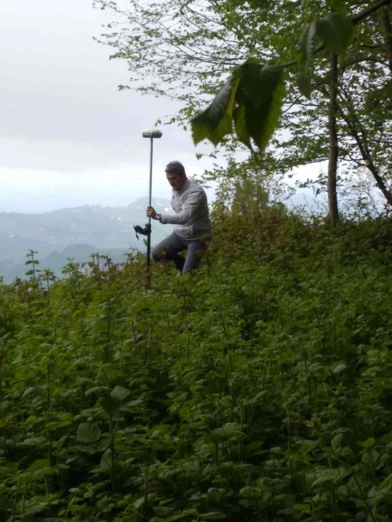 Ordu’da kadastro çalışmaları
