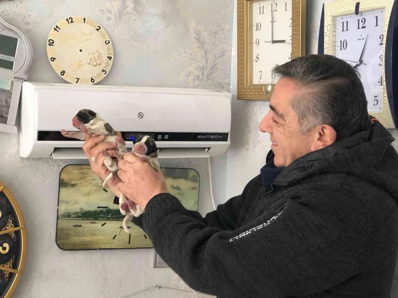 Üşümesin diye klimada ısıtıp, torunları gibi seviyorlar
