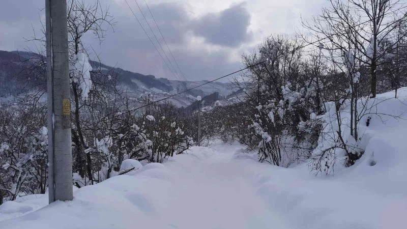 Mahallede kar 1.5 metreye ulaşınca muhtar vatandaşlara böyle seslendi
