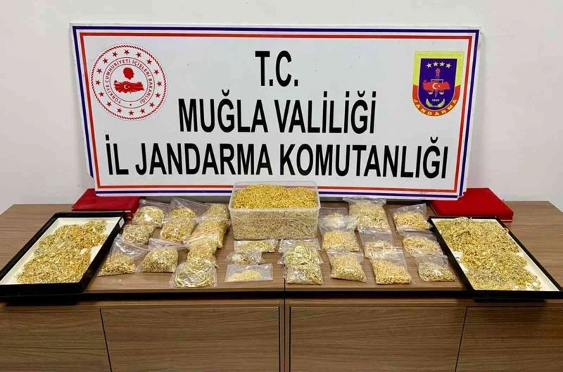 Gasp ettikleri 16 kilo altını toprağa gömdüler, jandarmadan kaçamadılar
