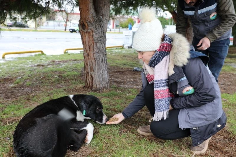 Başkan Demirtaş: “Can taşıyan her varlık bizim için değerlidir”
