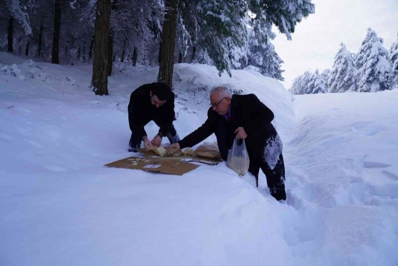 Erbaa’da yaban hayatı için doğaya yiyecek bırakıldı
