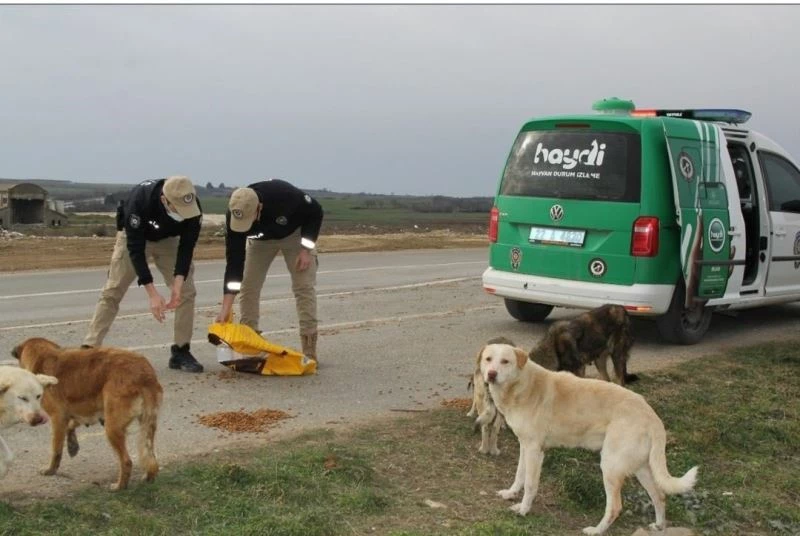 HAYDİ ekipleri, sokaktaki canları unutmadı
