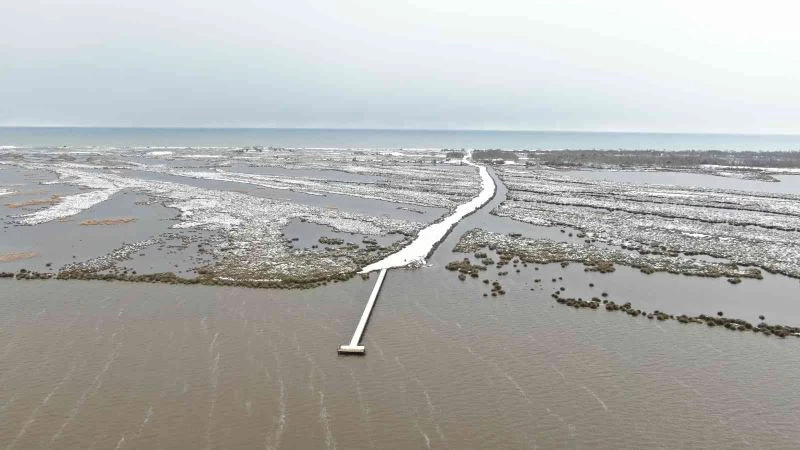 Kar yağışı sulak alanlara ve barajlara ’can suyu’ oldu
