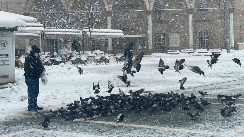 Yem bulmakta zorlanan kuşlar için seferber oldular
