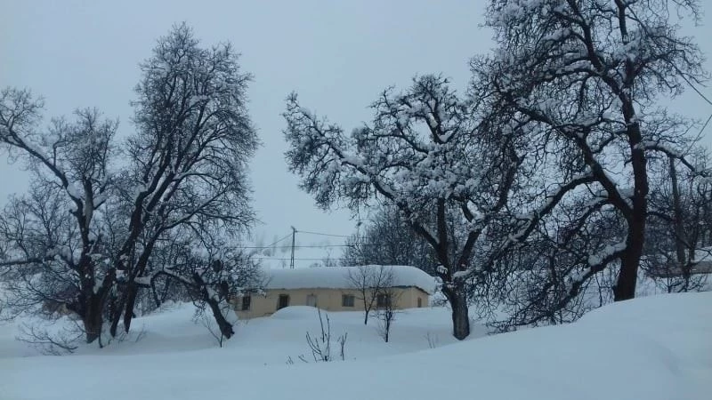Tunceli’de 151 köy yolunda karla mücadele sürüyor

