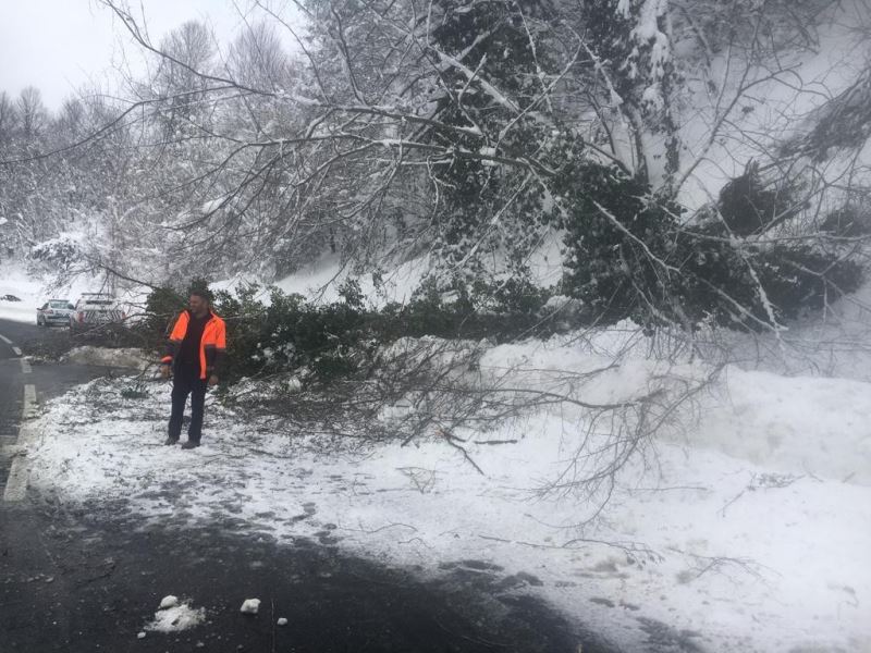 Yoğun kar nedeniyle devrilen ağacı keserek kaldırdı
