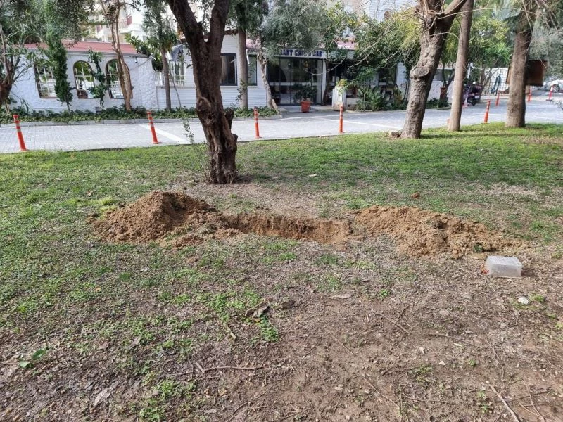 Mezar kazılıyor ihbarı ile olay yerine giden ekipler, korkunç cinayet ile karşılaştı
