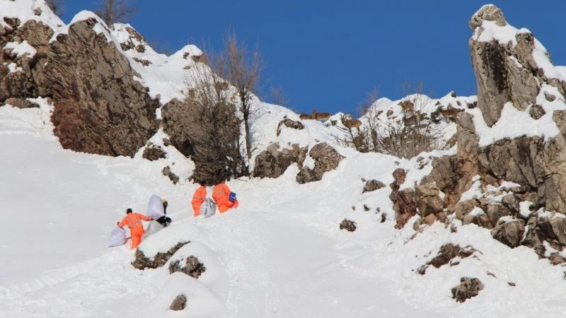 Etibakır Maden İşletmesi yaban keçilerine yem bıraktı
