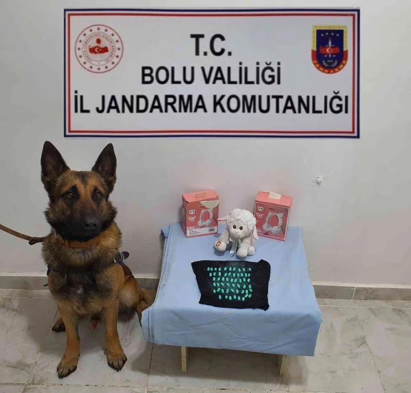 Oyuncağın içine sakladığı uyuşturucu haplarla yakalandı
