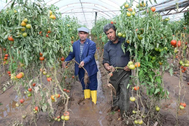 Kumlucalı üreticiler sel sonrası seralarda dezenfekte çalışmasına başladı

