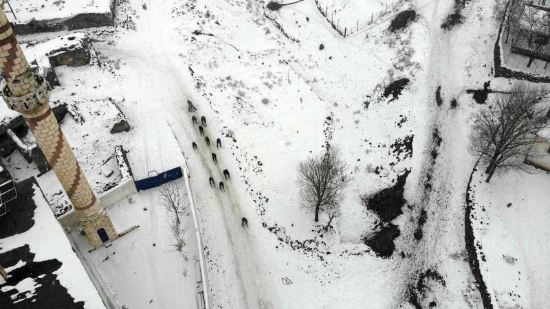 Köy çocukları karın keyfini kızaklarla çıkarıyor
