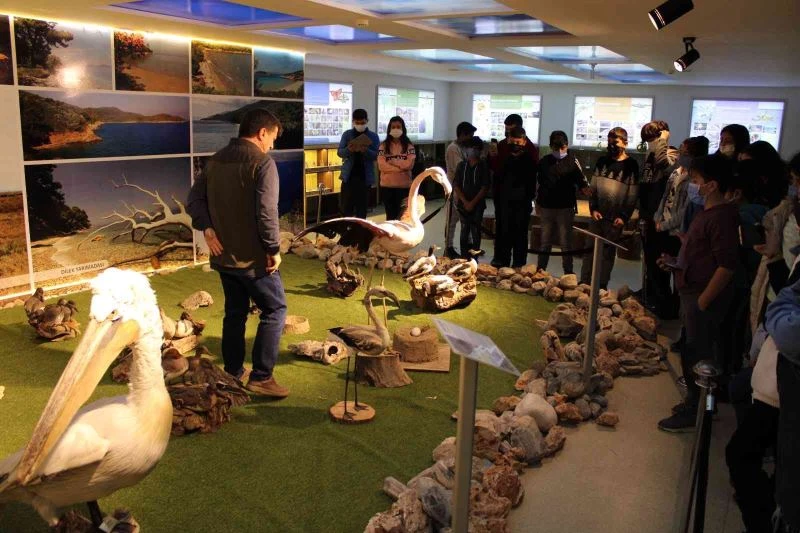 Doğanın savunucuları, gençlere yol göstermeye devam ediyor
