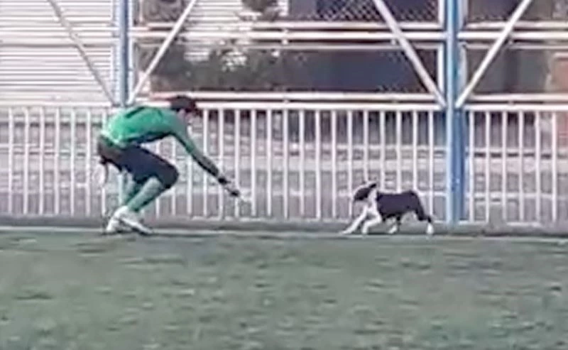 Karşılaşmanın en heyecanlı yerinde sahaya giren köpek renkli görüntülere neden oldu