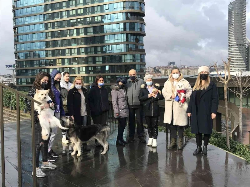 Kadıköy’de lüks sitede köpek besleyen hayvansevere tehdit: 