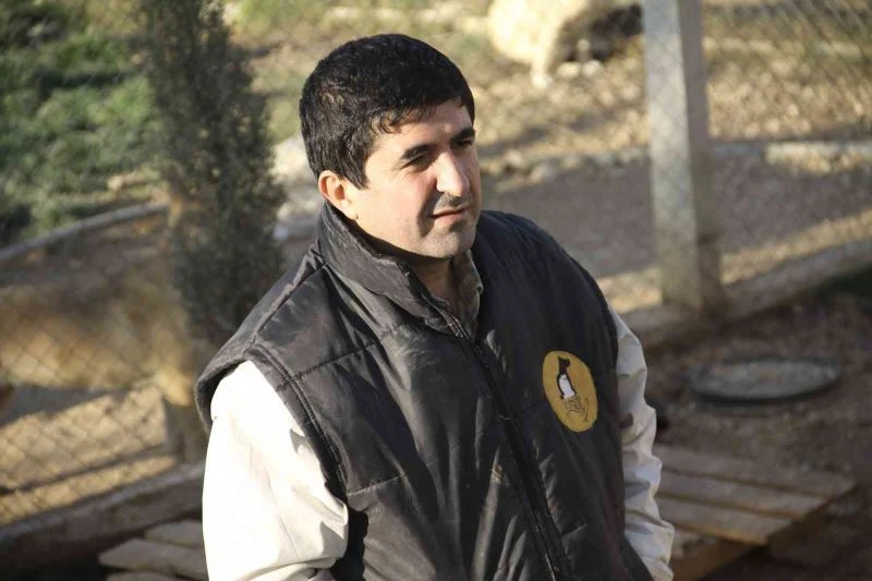 CAHİDE Başkanı Cengiz Bayram:
