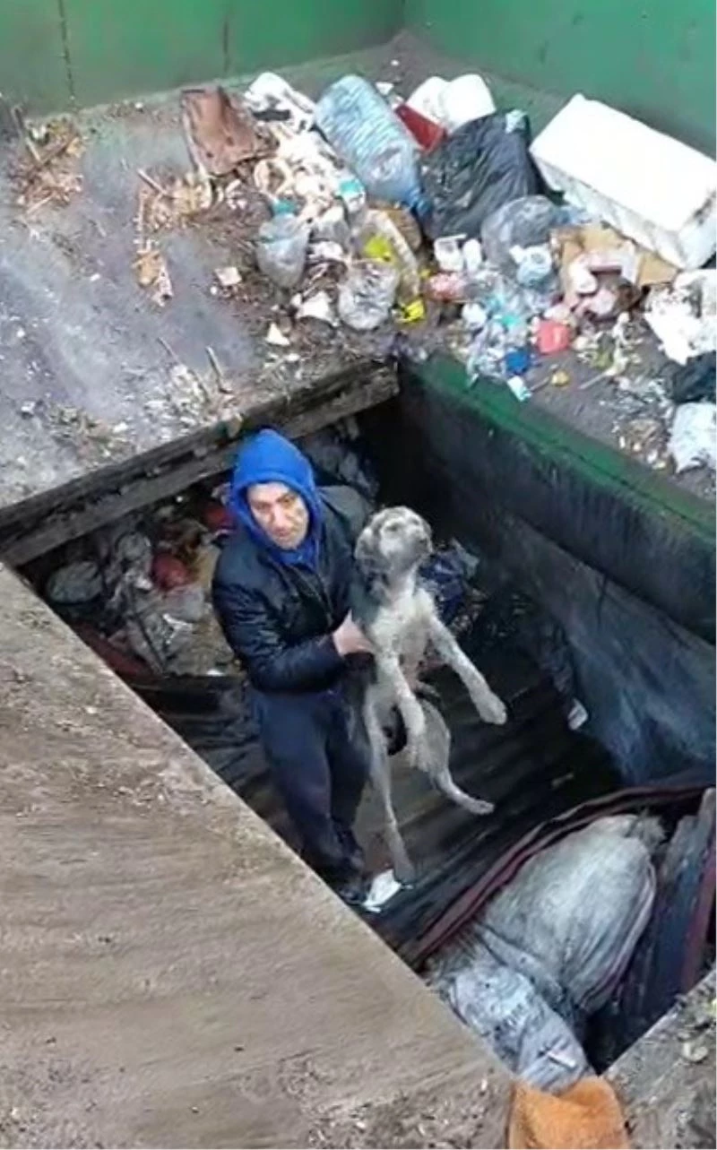 Çöp ayrıştırma makinesine düşen köpek kurtarıldı
