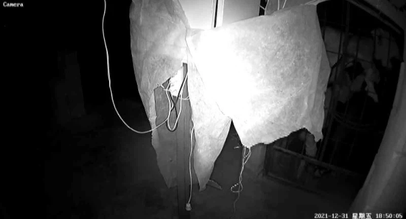 Güneş paneli hırsızları 4 denemede de başarılı olamadı
