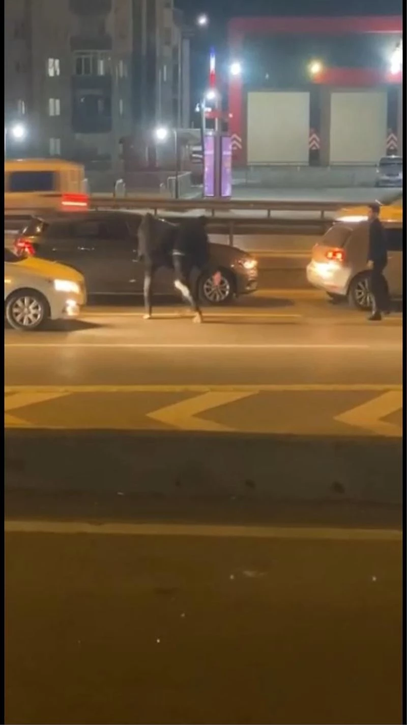 Maltepe’de yol verme tartışmasında D-100 karayolu ringe dönüştü: Tekmeler yumruklar havada uçuştu
