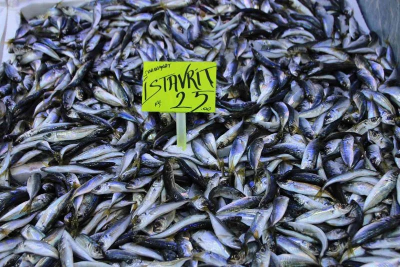 İstavrit bolluğu tezgahlara yansıdı
