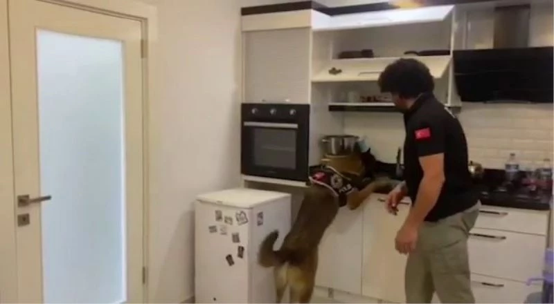 Antalya’da 1 yılda 638 kilogram uyuşturucu madde ele geçirildi
