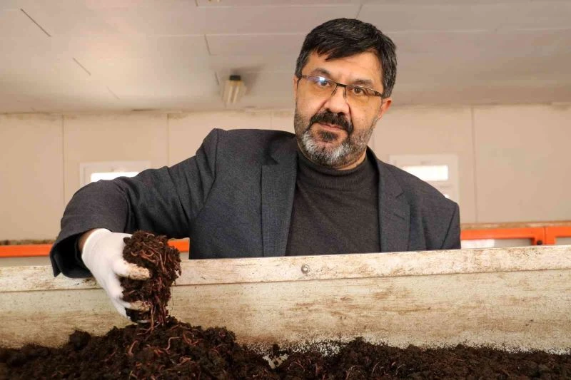 Türk bilim adamları buldu, kadınlar solucanla güzelleşecek
