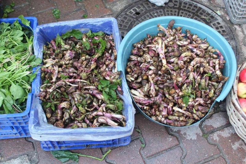 Kaldirik otu pazarda yerini aldı
