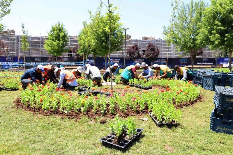 Diyarbakır 2021’de 3 milyon 500 bin mevsimlik çiçekle süslendi
