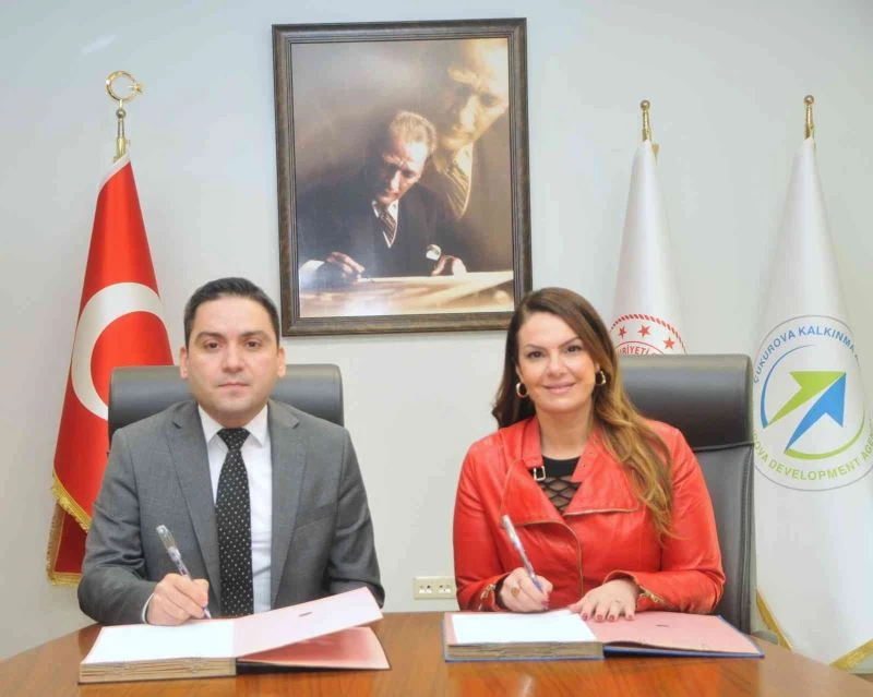 İhracat odaklı hibe desteği 