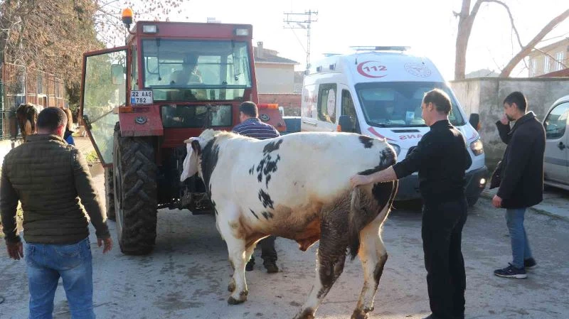 Samanlıkta çıkan yangında hayvanlarını kurtarmak için seferber oldular
