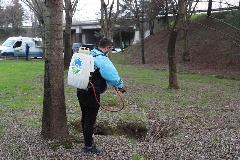 Şehir genelinde ilaçlama, mıntıka ve çevre temizliği sürüyor
