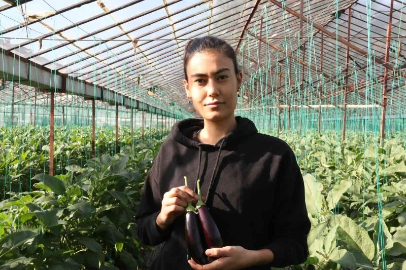 Halde 12, pazarda 15 TL olan patlıcan, Tarım Kredi Kooperatifi marketinde 19,90 TL
