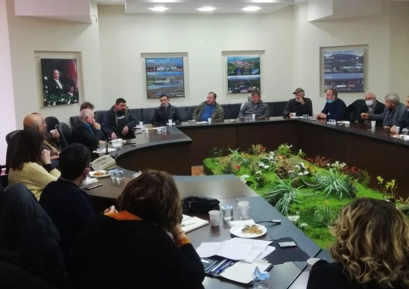 Arı ölümlerine çözüm arayışı
