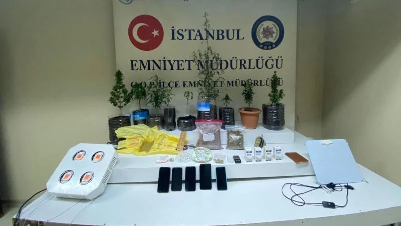 Evde uyuşturucu serasına polis baskını
