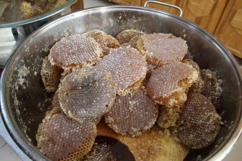 Mardin’de kış hastalıklarının şifa kaynağı Uludere çam balı ve keçiboynuzu
