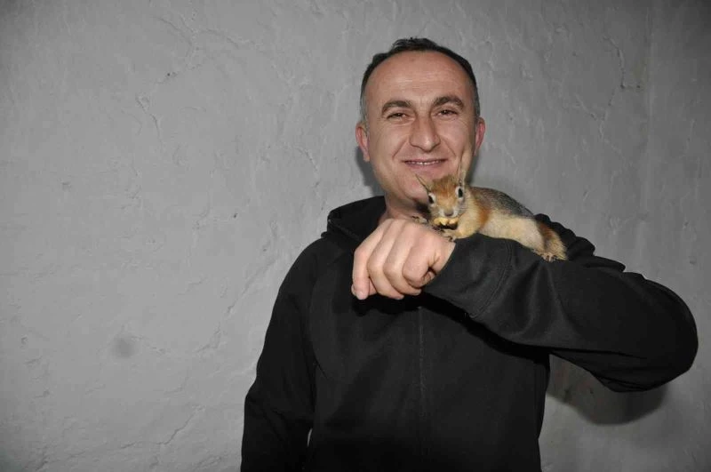 Köy öğretmeni evinde beslediği sincaba çocuğu gibi bakıyor
