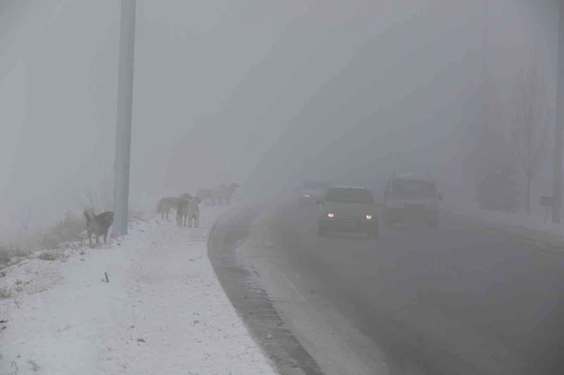 Erzincan’ı sis, pus, kırağı sardı
