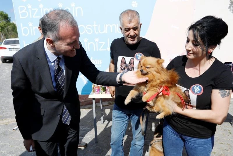 4 bin 476 can dostu İnegöl Belediyesi ile hayata tutundu
