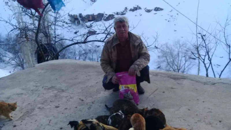 Trabzon’dan Batman Mereto dağı eteklerindeki kedilere mama

