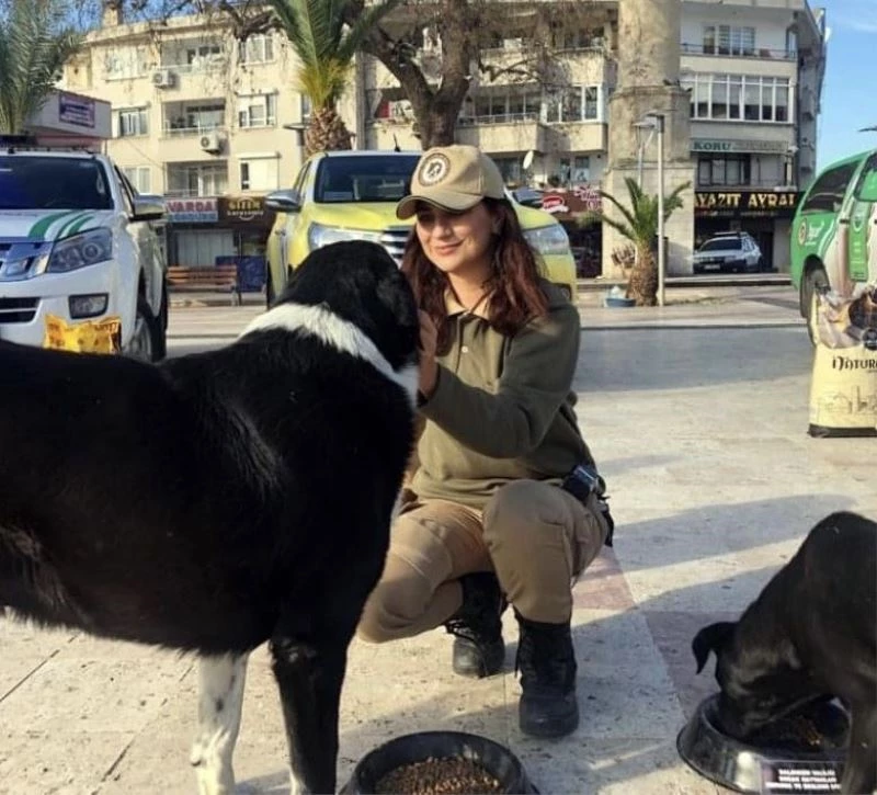 Balıkesir Körfez ilçelerinde Çevre Doğa ve Hayvanları Koruma Amirliği ekipleri  7/24 görev başında
