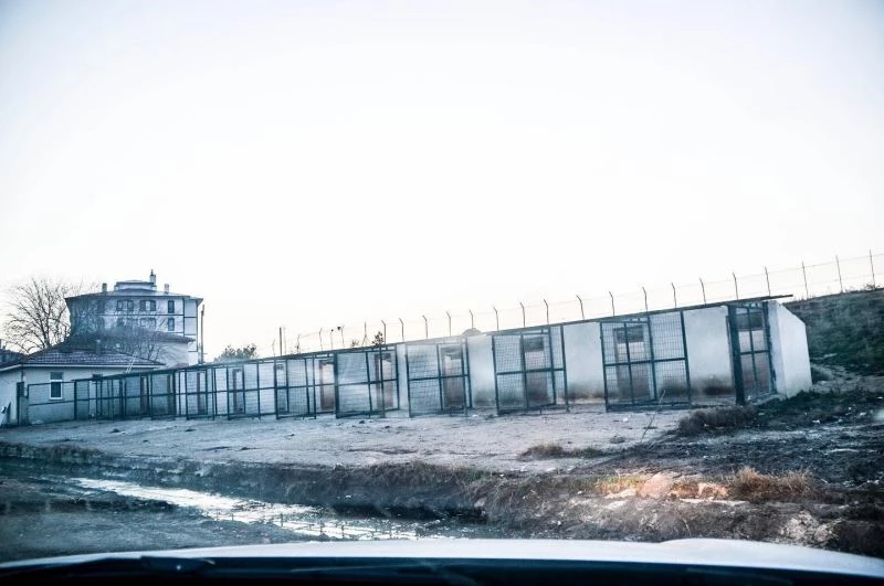 Barınak kapatıldı, hayvanlar sokağa salındı
