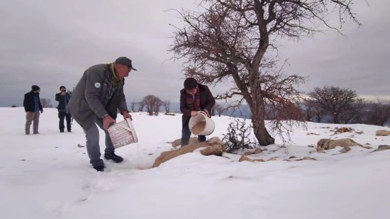 Çemişgezek’te yaban hayvanları için doğaya yem bırakıldı
